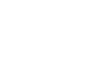 Shopify Plus Developer